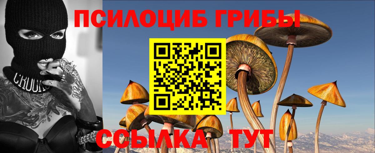 Псилоцибиновые грибы ЛСД  Галлюциногенные грибы Magic Shrooms  Ливны  Вход с VPN 